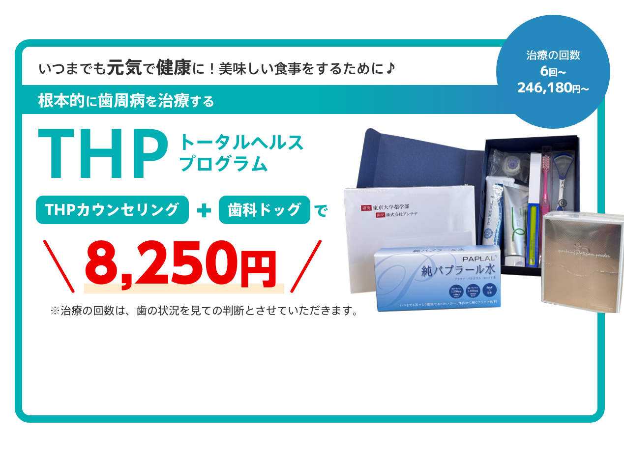 いつまでも元気で健康に！美味しい食事をするために♪
			THP トータルヘルスプログラム
			治療の回数 6回～ 246,180円〜
			根本的に歯周病を治療する
			THPカウンセリング + 歯科ドッグで 8,250円
			※治療の回数は、歯の状況を見ての判断とさせていただきます。
			
