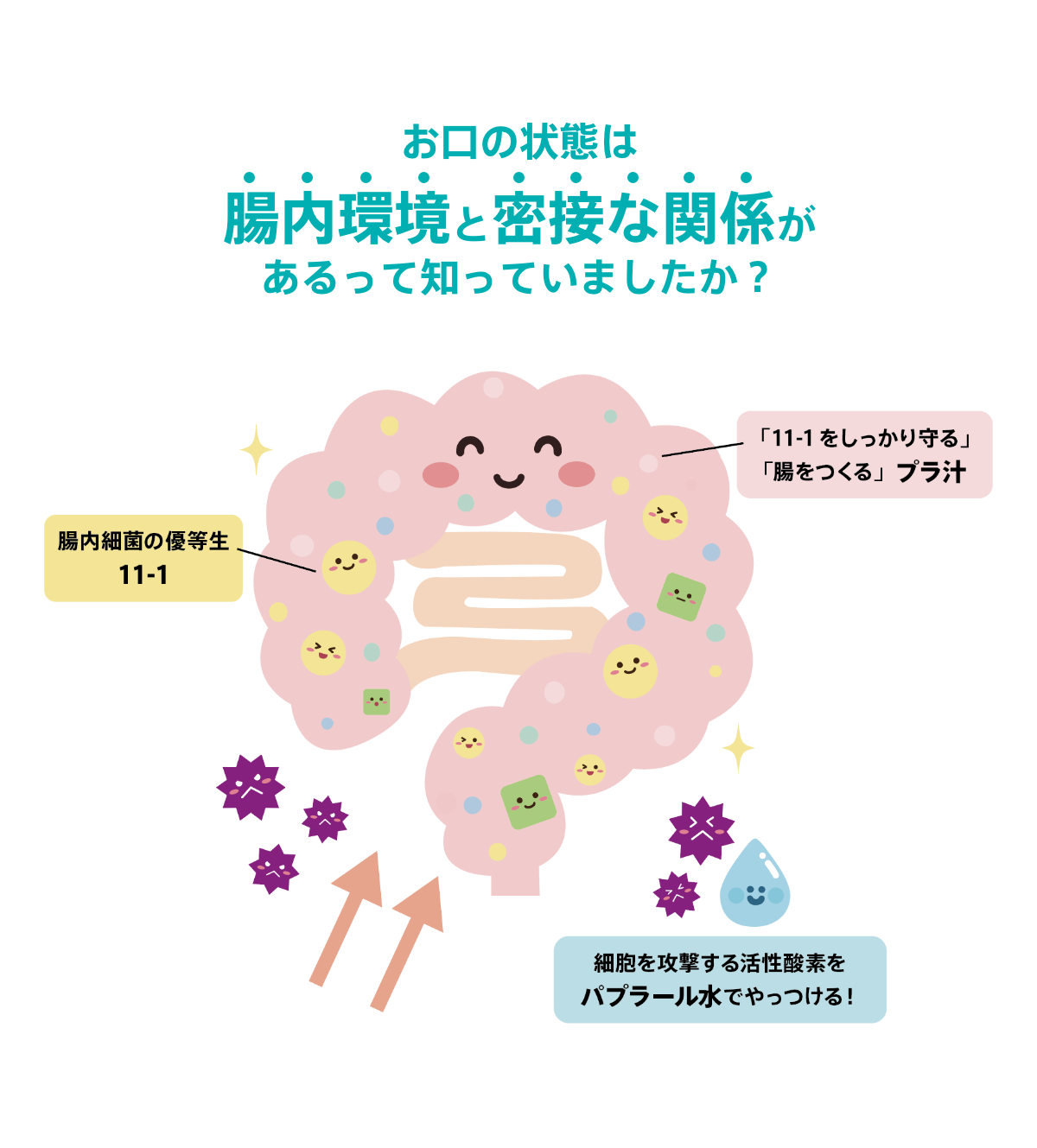お口の状態は腸内環境と密接な関係があるって知っていましたか？